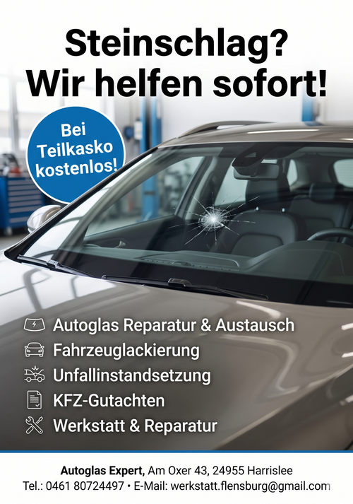 Steinschlag rep.